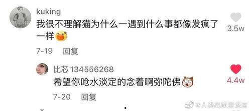 吃瓜吃的忘了工作,揭秘网络热议背后的职场疏忽