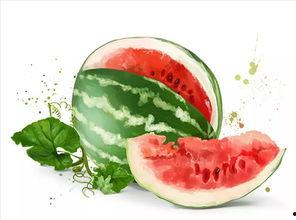 美大仙吃瓜,揭秘娱乐圈幕后真相