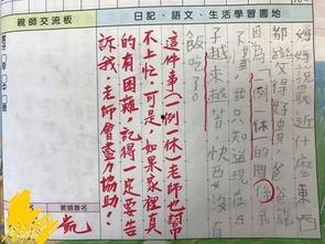 八组吃瓜日记,揭秘娱乐圈幕后故事
