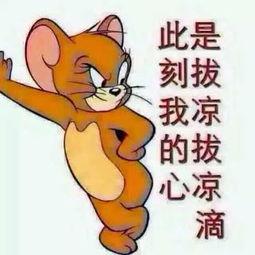 优美吃瓜群众图片,跟随优美吃瓜群众,感受夏日清凉时光